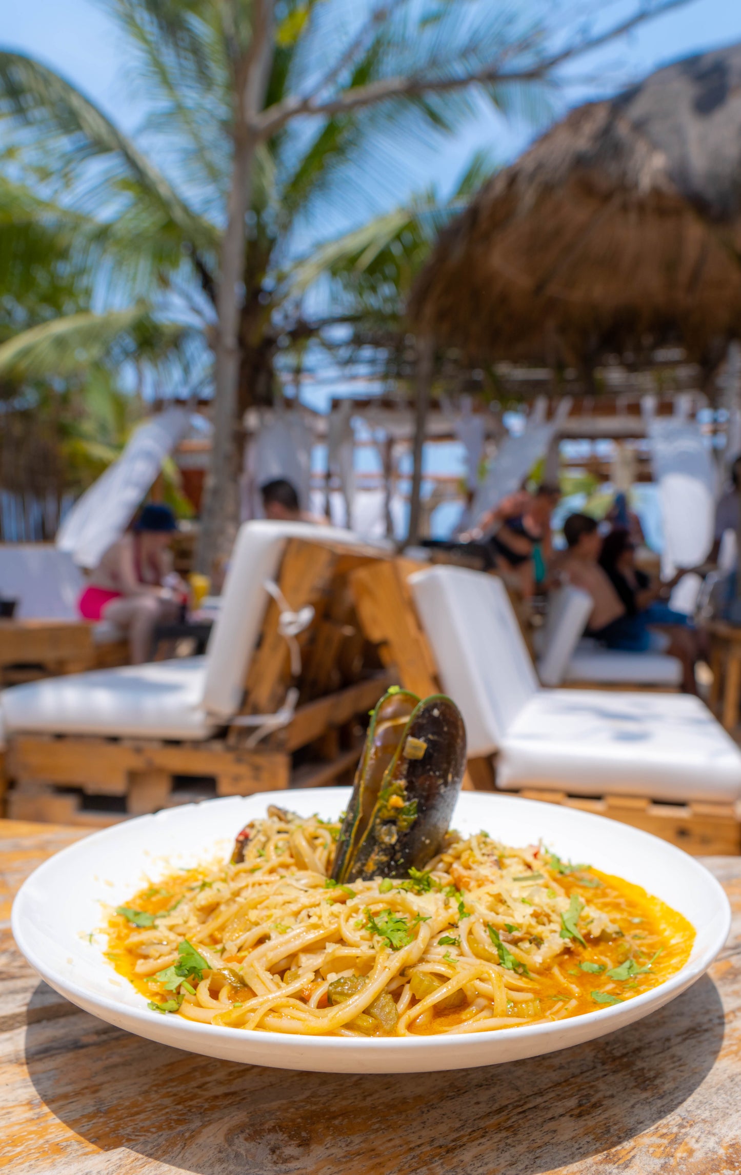 Island Tour | Mambo Beach Standard Plan