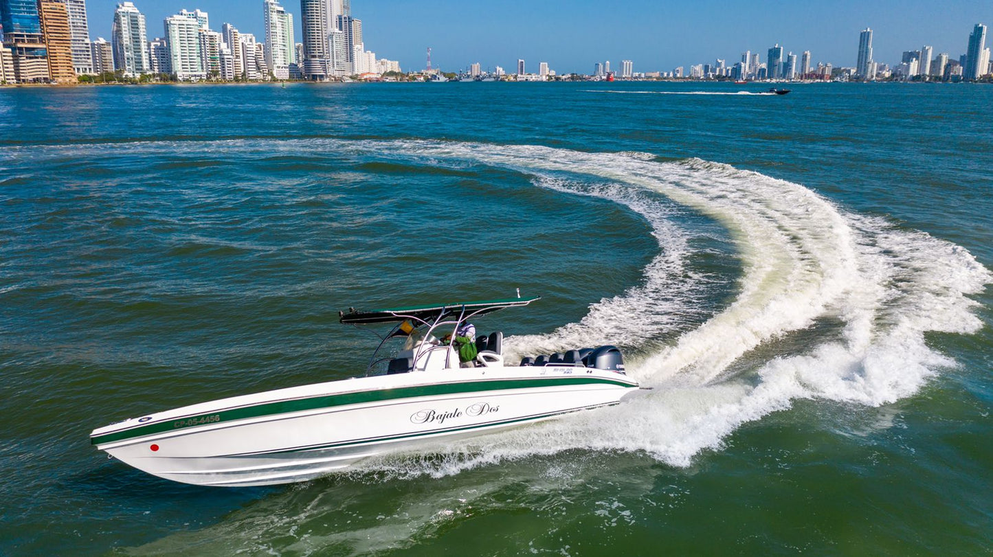 Lancha Alquiler Tour Bahía - 10 Personas