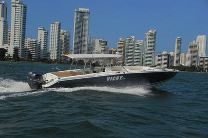 Lancha Alquiler Tour Bahía - 28 Personas