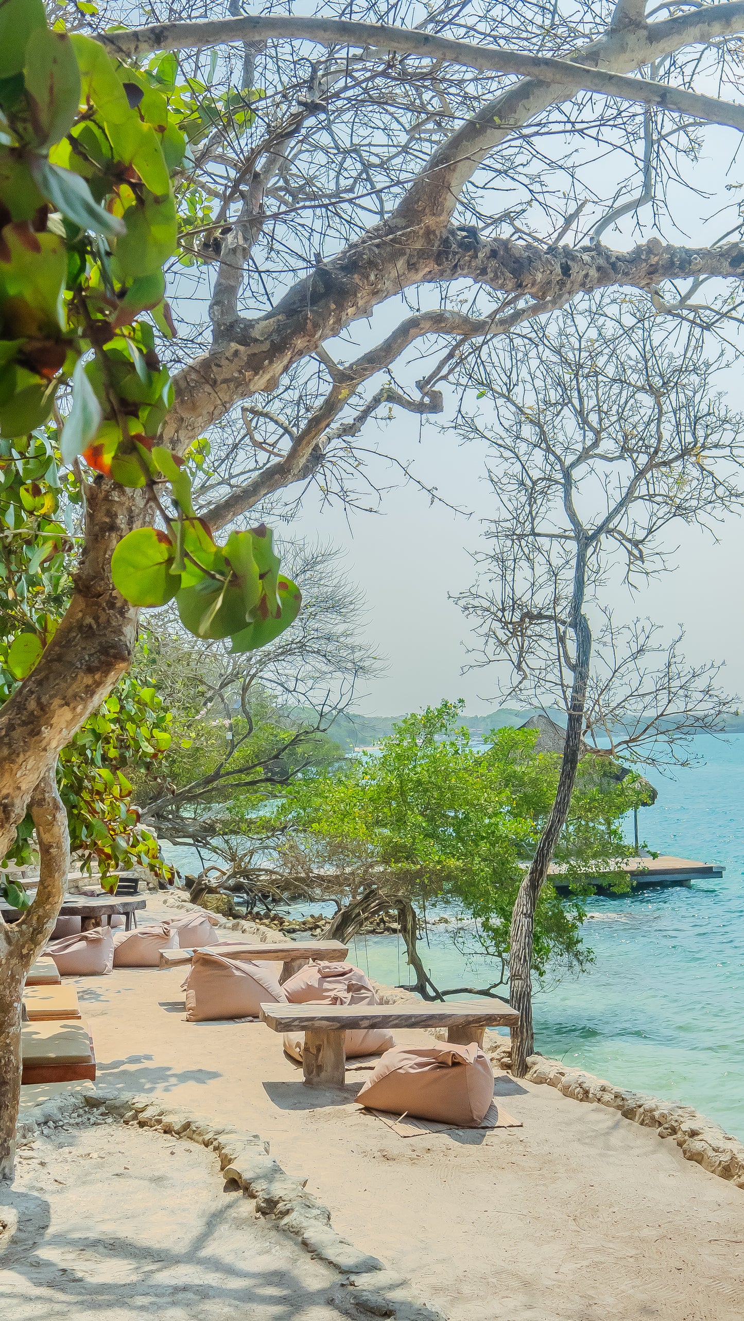 Tour Isla - PAUE BEACH CLUB 🌴