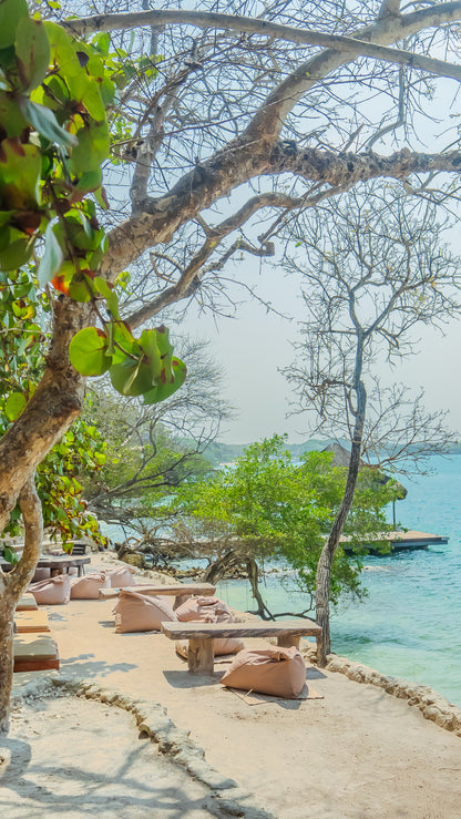 Tour Isla - PAUE BEACH CLUB 🌴