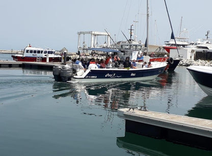 Lancha Alquiler Santa Marta | 20 Personas