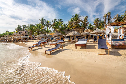 Tour Palmarito Beach - Tierra Bomba