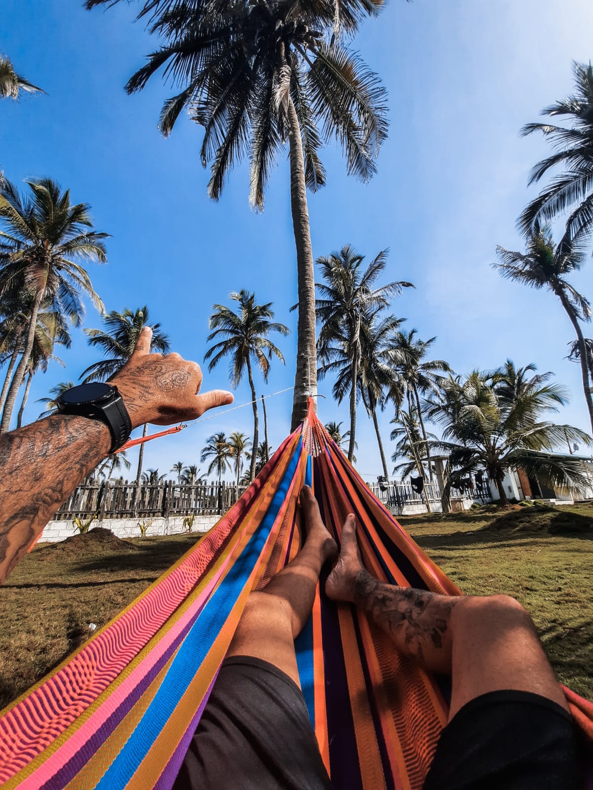 Tour Palmarito Beach - Tierra Bomba